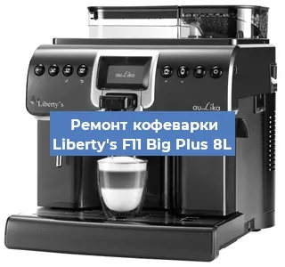 Чистка кофемашины Liberty's F11 Big Plus 8L от накипи в Самаре